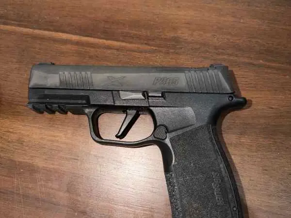 Sig Sauer P365XL