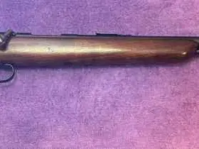 Remington Model 341