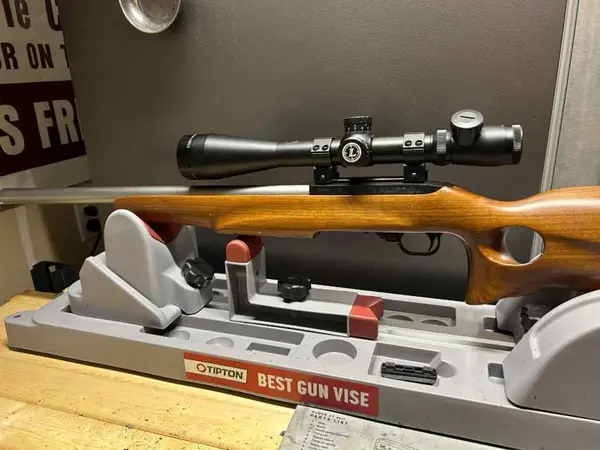 Ruger 10/22