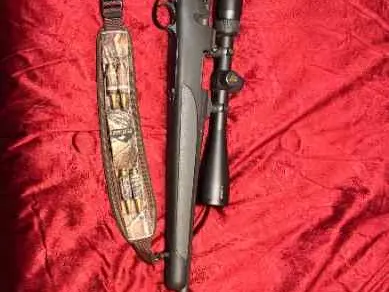 Remington 700 308