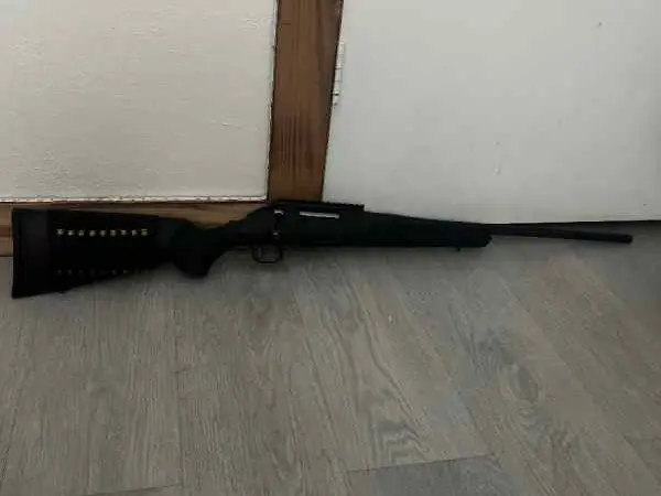 Ruger American.243