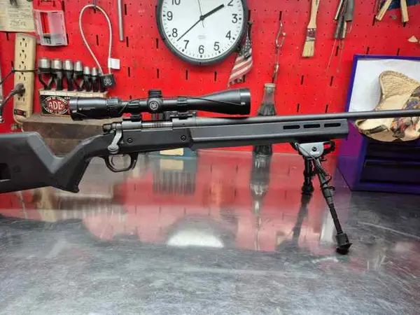 Remington 700 308