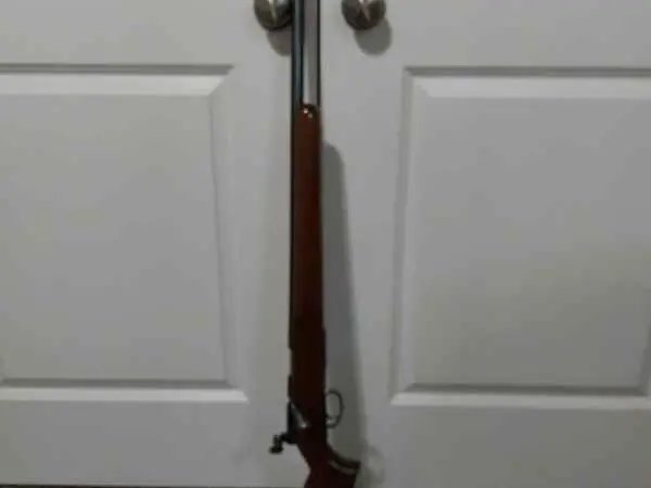 Remington 22LR