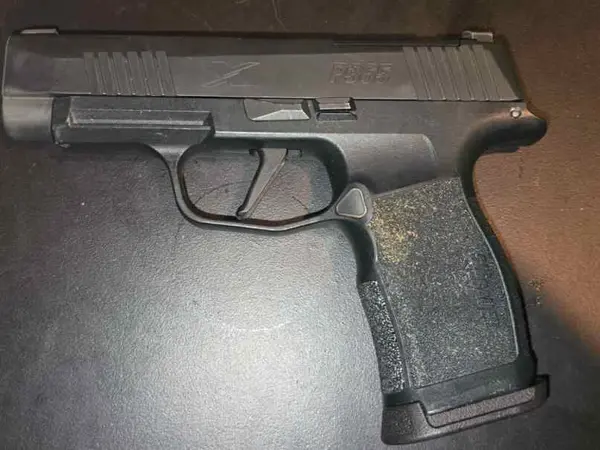 Sig Sauer 365X Macro