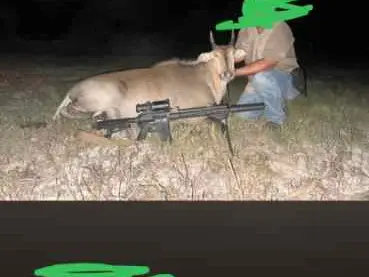 Cmmg resolute 458 socom