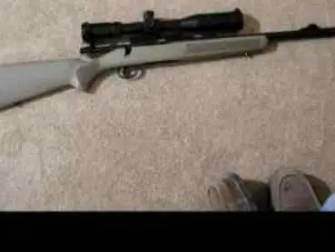 Mossberg 223