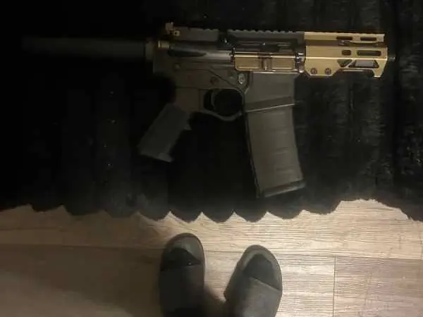 AR 15