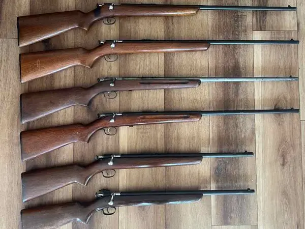 WTB: Winchester 67