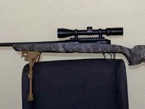Savage 308