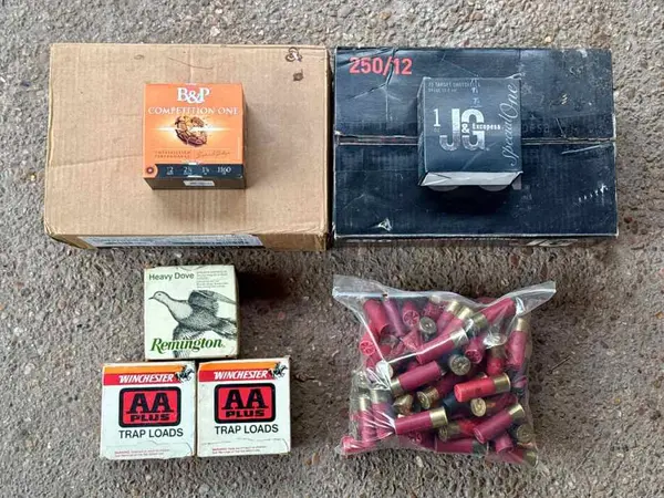 12 Gauge Ammo