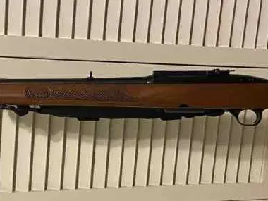 Winchester Model 100 243 WIn