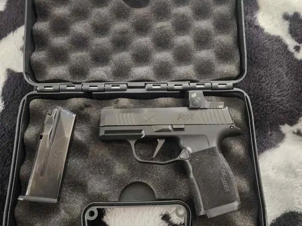 Sig 365X