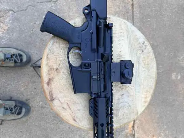 PSA 300 blackout Sig optic