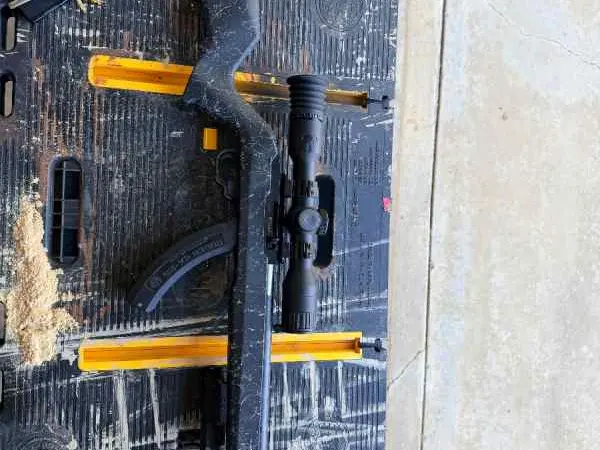 Ruger 10/22 carbon
