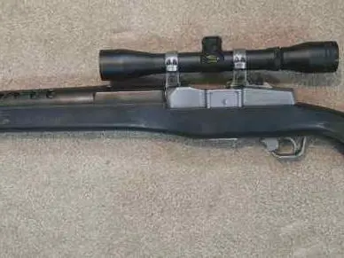 Stainless Ruger Mini-14