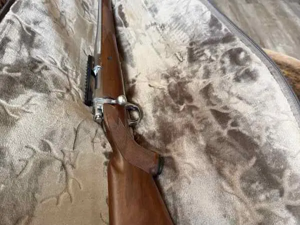 Ruger m77 stainless Hawkeye