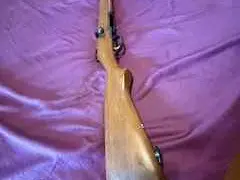 Marlin Model 55 "Goose Gun"
