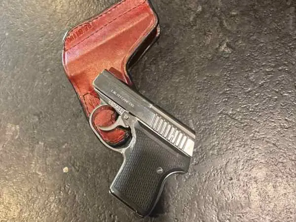 Seecamp .380