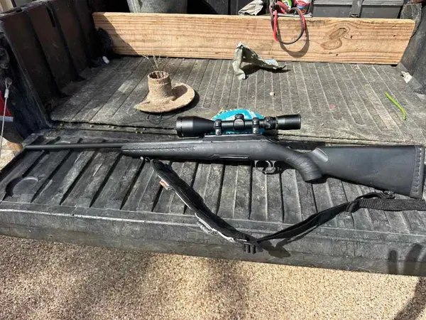 Ruger American 243