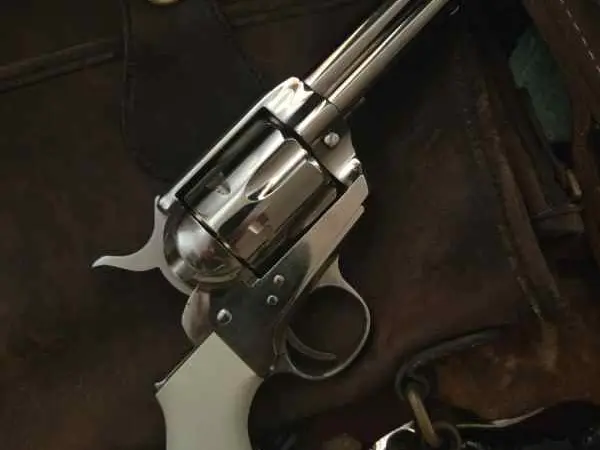 Taylors & Co nickle 357 magnum birds head