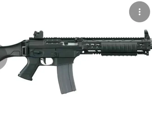 5.56 sig saur classic