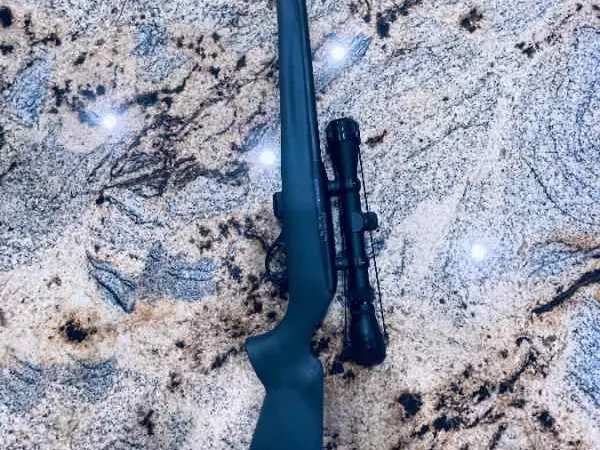 Remington model 597