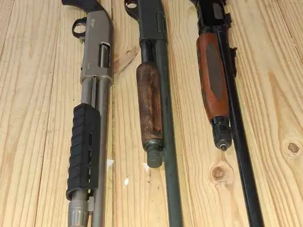 3 12ga shotguns