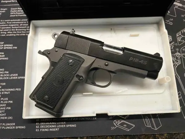 Para Ordnance P12 45 ACP In the box