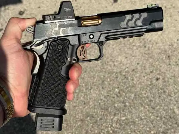 Kimber 2k11 with RMR