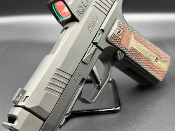 Sig Sauer P365 XMacro Custom