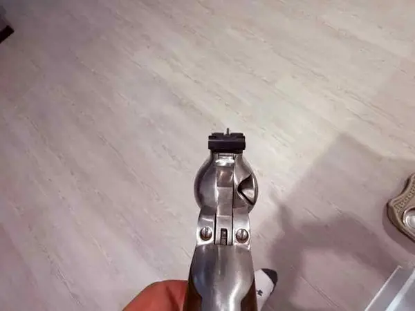 Ruger 22 win mag