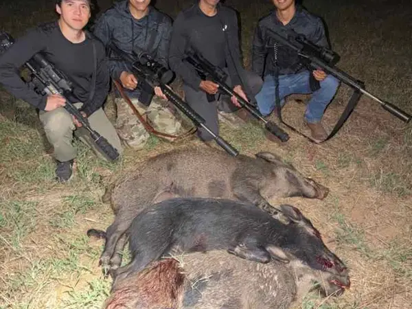 DOE/HOG Hunts. N of Nocona TX