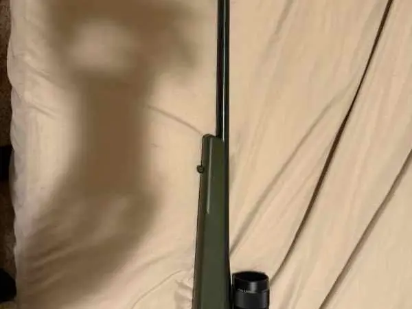 Weatherby 243