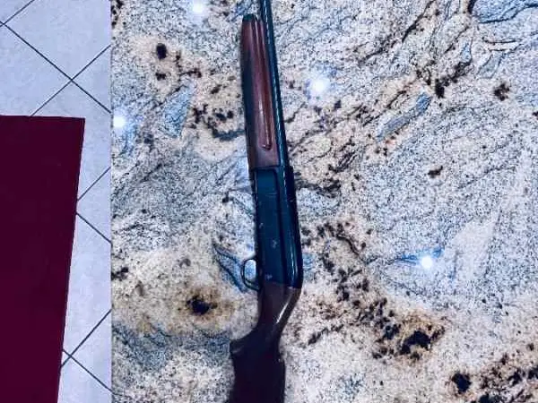 Savage 12 ga semi auto