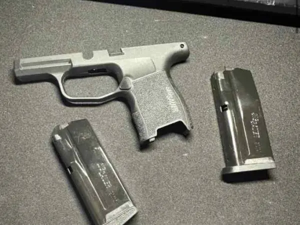 P365 Grip Module and Mags Only