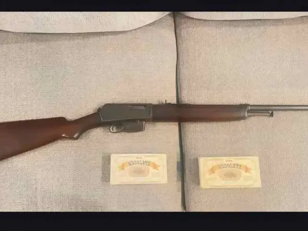 Winchester model 1907 .351