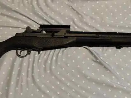 Springfield M1A Standard
