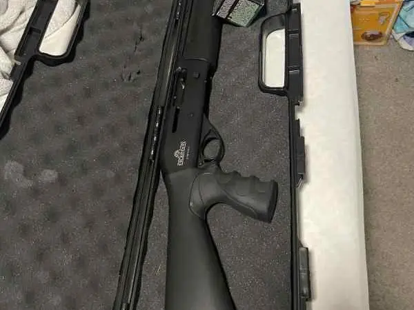 WTT/WTS Dickinson 12 gauge