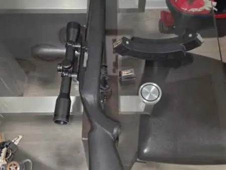 Ruger 10/22