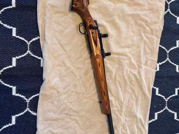 Remington VLS 700 (22-250)
