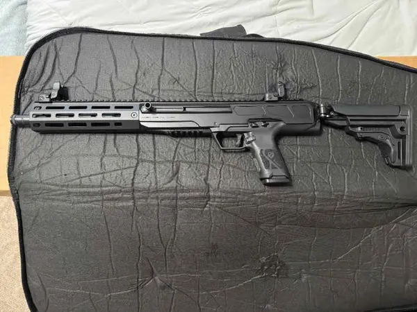 Ruger LC Carbine