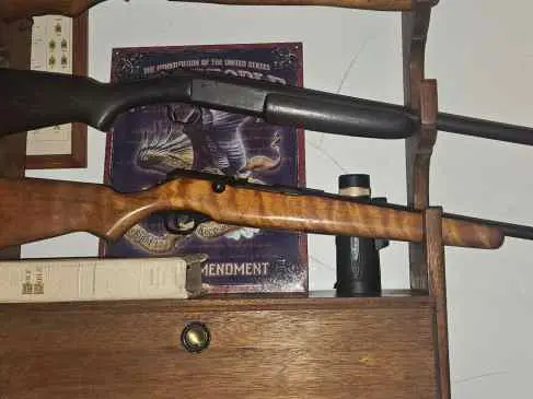 Winchester 16GA and Mossberg 410