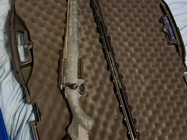Ruger 308