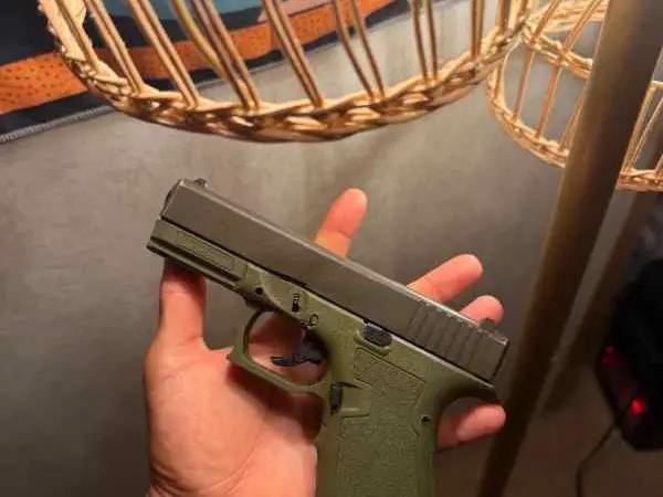 G19 g3 & rare breed trigger