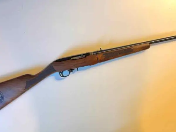 Ruger 10/22 Takedown Walnut
