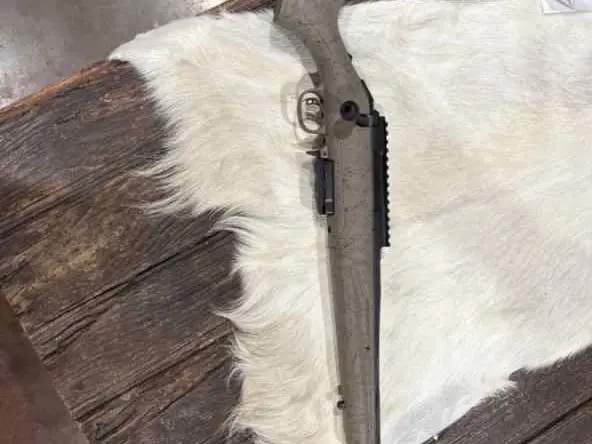 Ruger American Gen 2