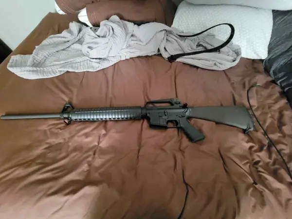 BUSHMASTER XM15-E2S TARGET .223/5.56 20" HBAR 1/9
