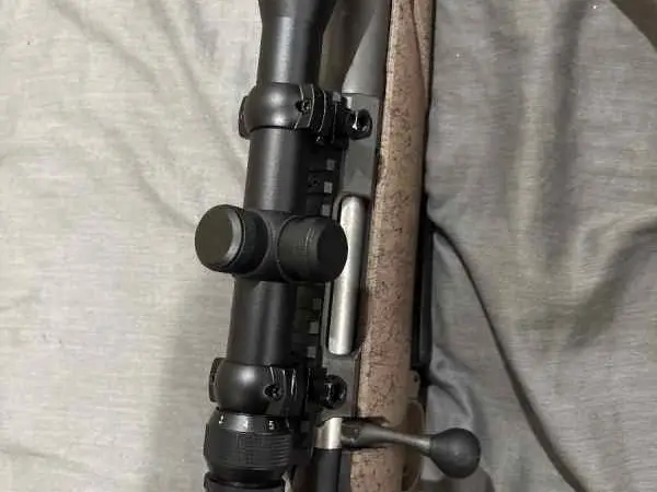 Ruger 308