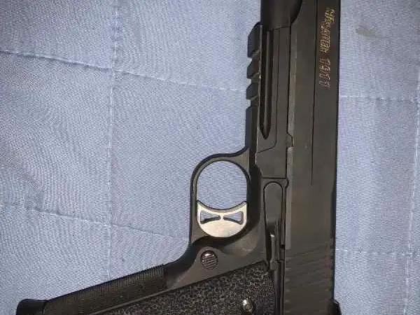 Sig 1911 .45
