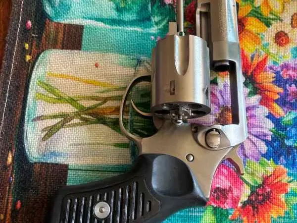 Ruger SP101 .357